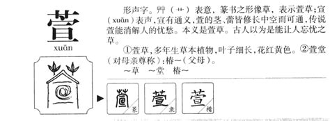 萱的名字|萱的意思及寓意女孩